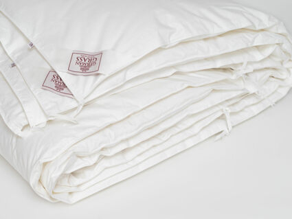 Одеяло German Grass Alliance Down&Down Grass всесезонное/всесезонное Light 200х200