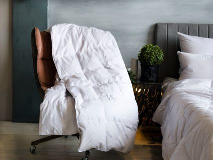 Одеяло German Grass Gray Familie Down всесезонное 200х220