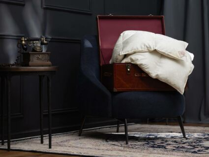 Одеяло German Grass EXCLUSIVE SILK EIDER DOWN теплое 200х220