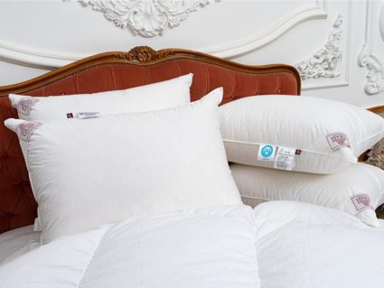 Подушка German Grass Sky Down Grass мягкая 50х70