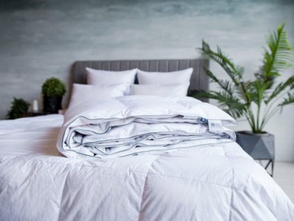 Одеяло German Grass Gray Familie Down всесезонное 200х220