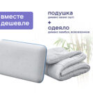 Одеяло Димакс Бамбук всесезонное + подушка Димакс Базис 172х205